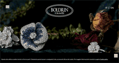 Desktop Screenshot of boldringioielli.com